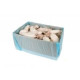 Rotte Voksen XXL (350-450g) 10 kg
